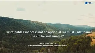 Sustainable Finance - Die Grundlagen