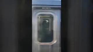 🚊New York Subway Train Ride in the Bronx🗽#nycsubway #nyclife #ny #nyc #nycvlog