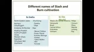Slash and burn cultivation #love #Motivation #motivation #love