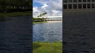 Plantation Florida West Regional Library! Lakeside & Cedar Trees, #library, #shorts,  #southflorida