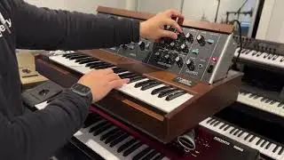 Magic Man Heart Solo Moog Model D Minimoog