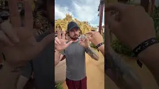 У тебя 11 пальцев 😳 #шорты
