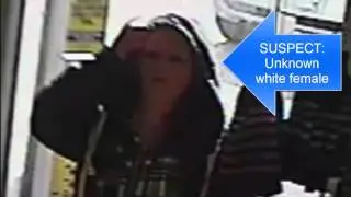 3/11/2016 Credit Card Access Device Fraud Suspect