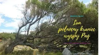 Polwysep Lun