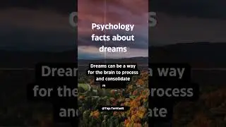 21. Dreams and Memory Consolidation