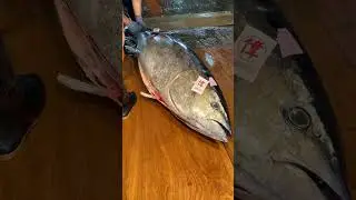 Master Skill Scaling a Giant Bluefin Tuna in Minutes! ️ #bluefin #tuna #scale hd