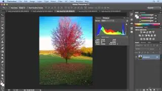 064 Reading a Histogram and Using the Info Panel