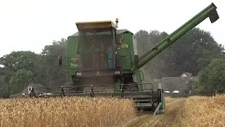 John Deere 1075 | Graan dorsen | Harvesting grain | Lieren | Netherlands | 2015.