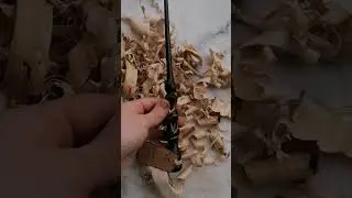 Harry Potter wand from real wood.