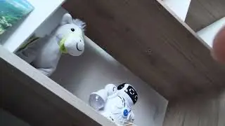 J&rsquo;ai une nouvelle biblioth&egrave;que 