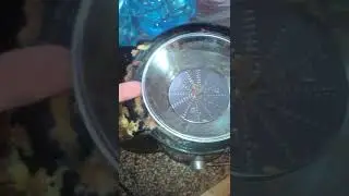 КАК ПОЧИСТИТЬ СОКО ВИЖИМАЛКУ БЕЗ УСИЛИЙ