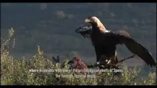 Promo video for birdwatching and wildlife holidays in Spain