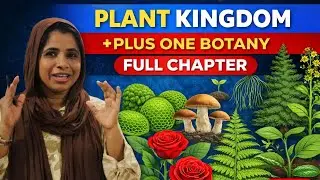 Class 11 |biology| chapter 3| plant kingdom | full chapter | plus one|