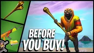 Before You Buy DOGGO! Fishstick REPLACEMENT?!