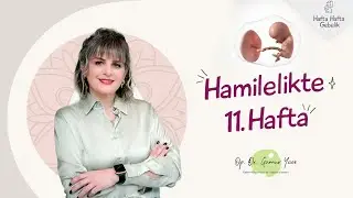 Gebelikte 11. Hafta | Op. Dr. Günnur Yüce | Hafta Hafta Gebelik