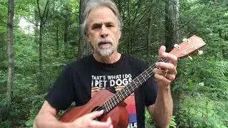 Octave Mandolin/Baritone ukulele hybrid demo