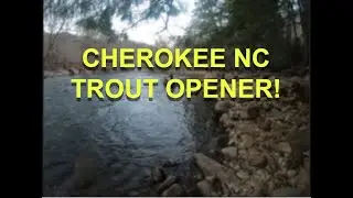 Cherokee 2022 TROUT OPENER TOURNAMENT!! World Class trout fishing Destination!