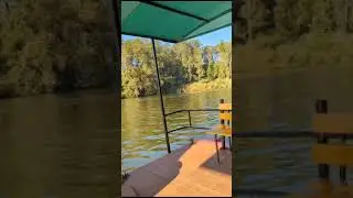 Ooty Lake Boat Ride #ooty #lake #shorts