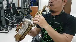 Rampone Cazzani Two Voice curved Soprano saxophone