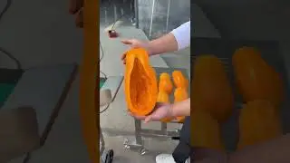 Large Vegetable Cutter
