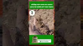 রেডি মিক্স সয়েলে (Ready Mix Soil)। #FarmsHouseBD #reels