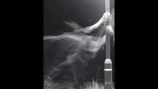¿Pueden Robar Los Espiritus de tu Cuadro Espiritual?