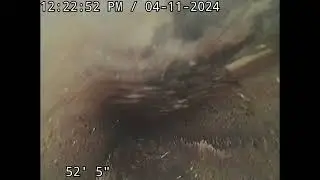 23 Marjorie point road Freedom NH sewer inspection