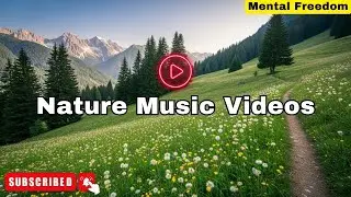 Beautiful Piano Music & Nature Video | 8 Hours UltraHD Forest Videos and Relaxing Calming Music