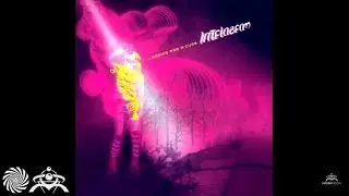 Intelabeam - Blizzard
