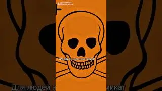 Почему Дзержинск называли &laquo;Дустом&raquo;? #почему #россия #история #дзержинск #ддт #химия #экология