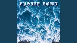 UPSIDE DOWN (feat. 8RO8) (SPED UP)