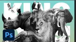 Photoshop Masterclass: Animal Collage | Adobe Creative Cloud