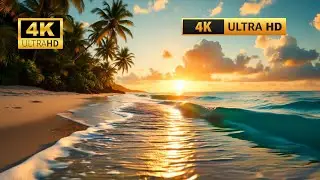 4K Tropical Beach Sunset Ambience | Relaxing Ocean Waves Sounds (1 Hour)