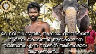 🚴🏻‍♂️Epi-1|ആനകളുടെ Lock Down വിശേഷങ്ങൾ അറിയുവാൻ ഒരു Cycle യാത്ര|നരസിംഹതേജസ്സ് ബാസ്റ്റിൻ വിനയസുന്ദർ✨