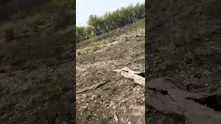 Poudre River Trail Side Quest