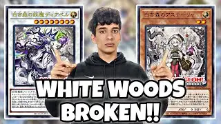 WHITE WOODS: NUOVO ARCHETIPO BROKEN IN TCG!! [Yu-Gi-Oh! ITA]