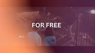 Swift TV &ndash; Watch Free Live TV Anytime, Anywhere with Zero Subscription