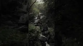 The Nature Conservancy in Bolivia #shorts