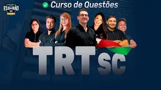 Esquadr&atilde;o TRT SC: Portugu&ecirc;s - Prof Janaina Arruda