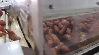Sweetpotato packing line