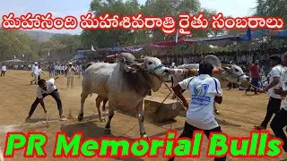 PR MEMORIAL BULLS / మహాశివరాత్రి రైతు సంబరాలు/MAHANANDI BULLS RACE 2024 #ongolebulls