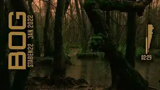 Bog
