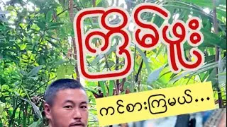 ပူတာအိုဒေသက ကြိမ်ဖူးကင်