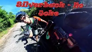 Dawn's first Shred on Silverback! A No Joke Black Diamond MTB in Trinidad