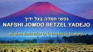 Anim Zemirot | אנעים זמירות - Har&eacute; agradables himnos | 🎙 Mordechai Ben David - מרדכי בן דוד