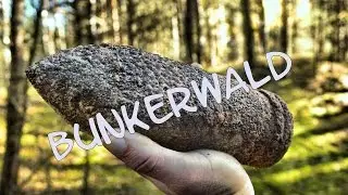 Neues aus dem Bunkerwald - RioDeLaNorte