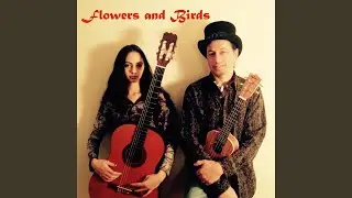 Flowers and Birds