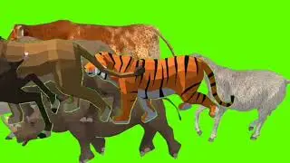 Stampede animals video green screen background new 2023 4k