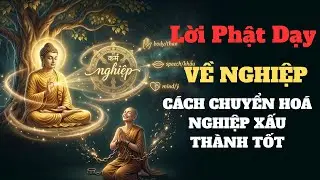 Lời Phật Dạy Về Nghiệp Báo: Cách Chuyển Hóa Nghiệp Xấu Thành Tốt
