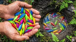 Dragon Guppies & Hidden Turtles 🐉🐢 | Discovering a SECRET Underground Ecosystem!